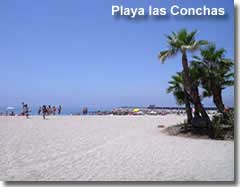 Palm trees on Las Conchas beach in Almeria