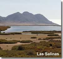 Las Salinas Cabo de Gata on the GR-92 walking trail in Andalucia