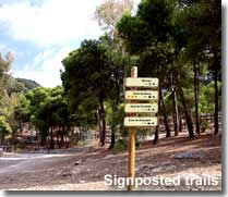 Signposted walking trails from Castala Park