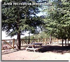 Merendera Picnic area in the Filabres mountains of Almeria