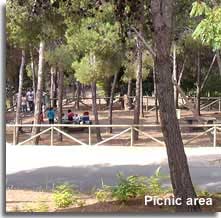 Picnic area of Castala park