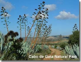 Walking trail in the Cabo de Gata Natural Park