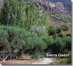 Walking trails in the Sierra Gador mountains of Almeria in Spain